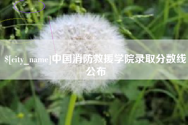 弥勒中国消防救援学院录取分数线公布