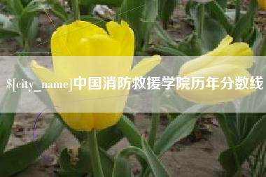 弥勒中国消防救援学院历年分数线