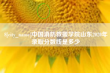 弥勒中国消防救援学院山东2020年录取分数线是多少