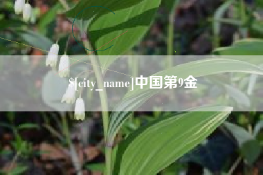 弥勒中国第9金