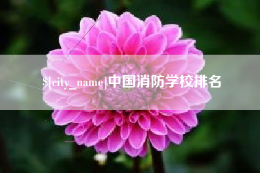 弥勒中国消防学校排名