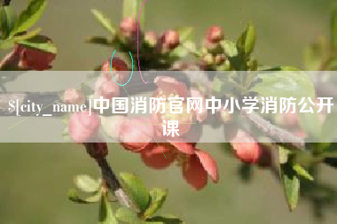 弥勒中国消防官网中小学消防公开课