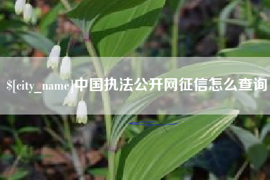 弥勒中国执法公开网征信怎么查询