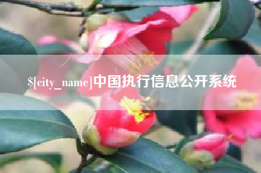 弥勒中国执行信息公开系统