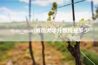 弥勒消防大学分数线是多少