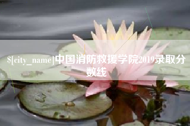 弥勒中国消防救援学院2019录取分数线