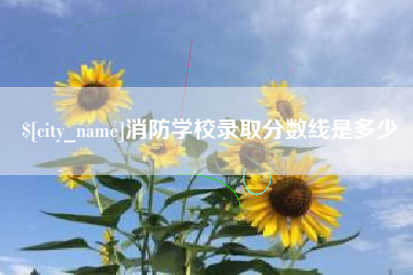 弥勒消防学校录取分数线是多少