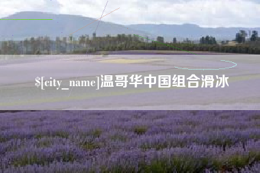弥勒温哥华中国组合滑冰