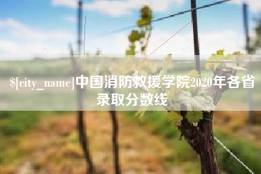 弥勒中国消防救援学院2020年各省录取分数线