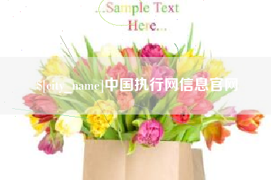 弥勒中国执行网信息官网