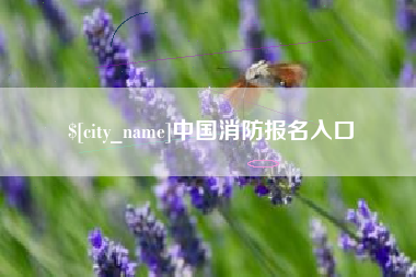 弥勒中国消防报名入口