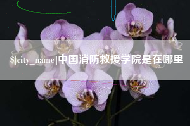 弥勒中国消防救援学院是在哪里