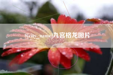 弥勒九宫格龙图片