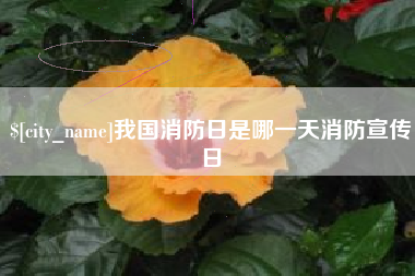 弥勒我国消防日是哪一天消防宣传日