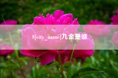 弥勒九金是谁