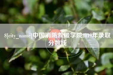 弥勒中国消防救援学院2019年录取分数线