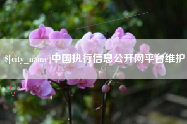 弥勒中国执行信息公开网平台维护