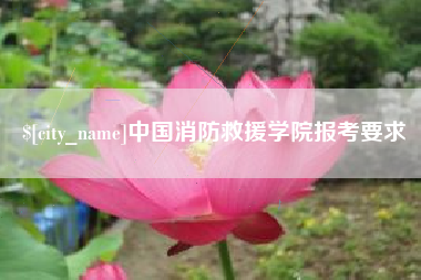 弥勒中国消防救援学院报考要求