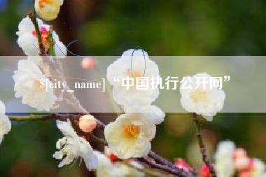 弥勒“中国执行公开网”