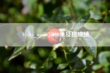 弥勒5000米及格成绩