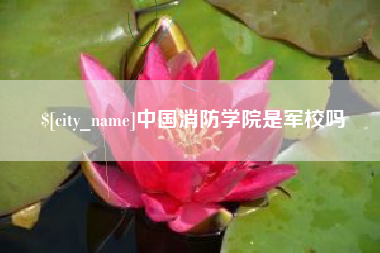 弥勒中国消防学院是军校吗