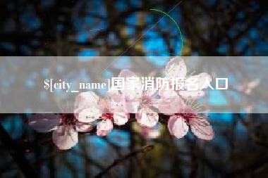 弥勒国家消防报名入口