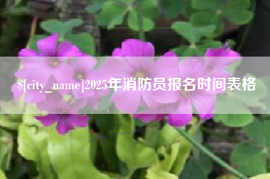 弥勒2025年消防员报名时间表格
