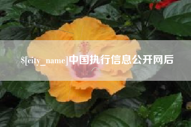 弥勒中国执行信息公开网后