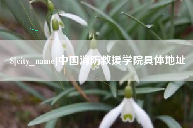 弥勒中国消防救援学院具体地址
