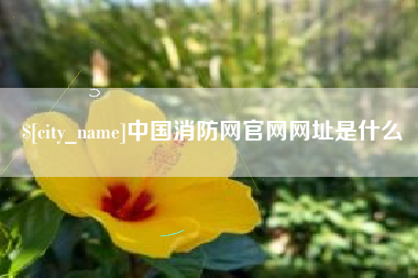 弥勒中国消防网官网网址是什么