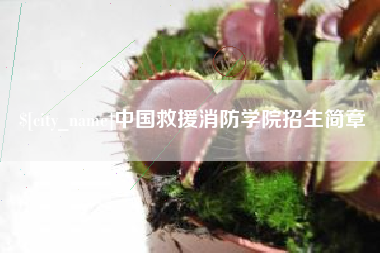 弥勒中国救援消防学院招生简章