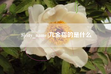 弥勒九金指的是什么
