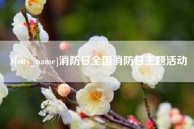 弥勒消防日全国消防日主题活动