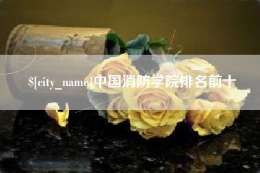 弥勒中国消防学院排名前十