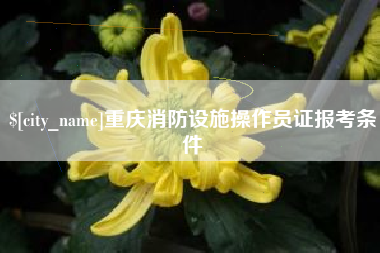 弥勒重庆消防设施操作员证报考条件