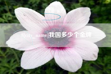弥勒我国多少个金牌