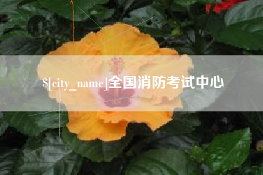 弥勒全国消防考试中心