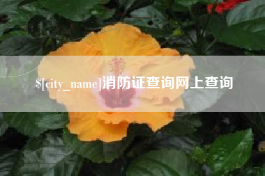 弥勒消防证查询网上查询