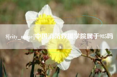 弥勒中国消防救援学院属于985吗
