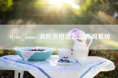 弥勒消防资格证怎么查询系统