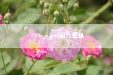 弥勒第九金是
