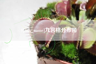 弥勒九宫格分布图