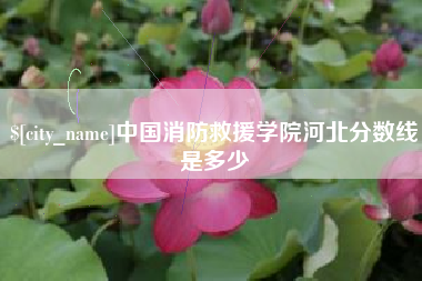 弥勒中国消防救援学院河北分数线是多少