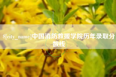 弥勒中国消防救援学院历年录取分数线