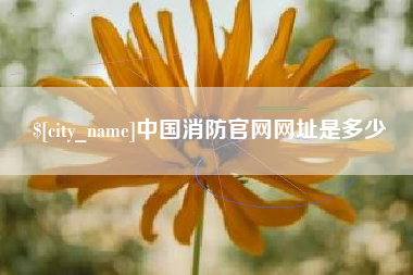 弥勒中国消防官网网址是多少