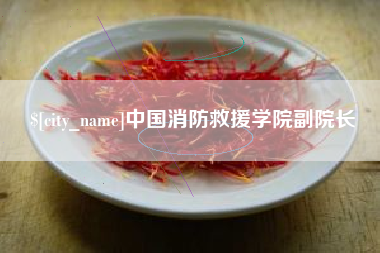 弥勒中国消防救援学院副院长