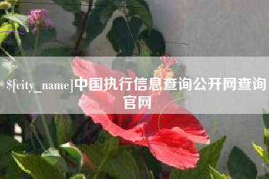 弥勒中国执行信息查询公开网查询官网
