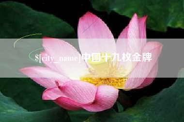 弥勒中国十九枚金牌