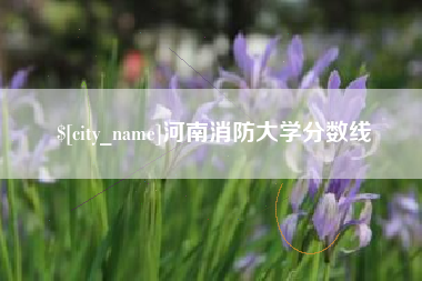 弥勒河南消防大学分数线