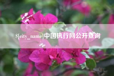 弥勒中国执行网公开查询